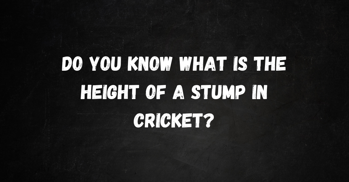 Cricket Stumps Revealed! - what is the height of cricket stumps?